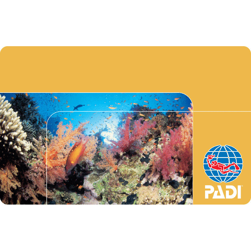 PADI Replacement Card