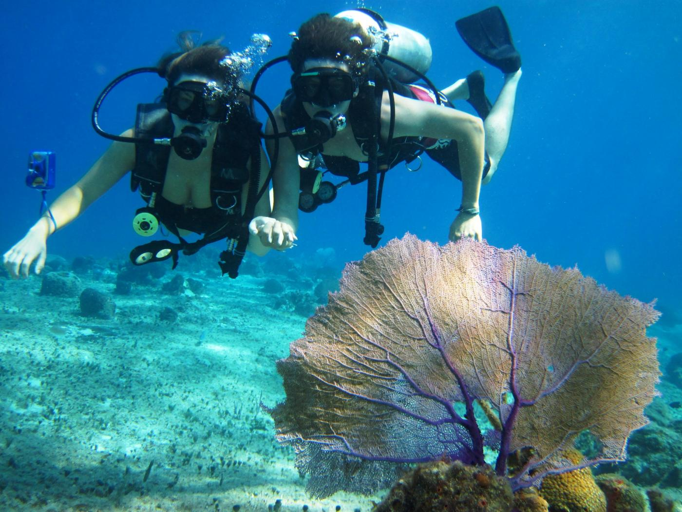 Top 5 Diving Destinations Around Miami That You Need To Explore