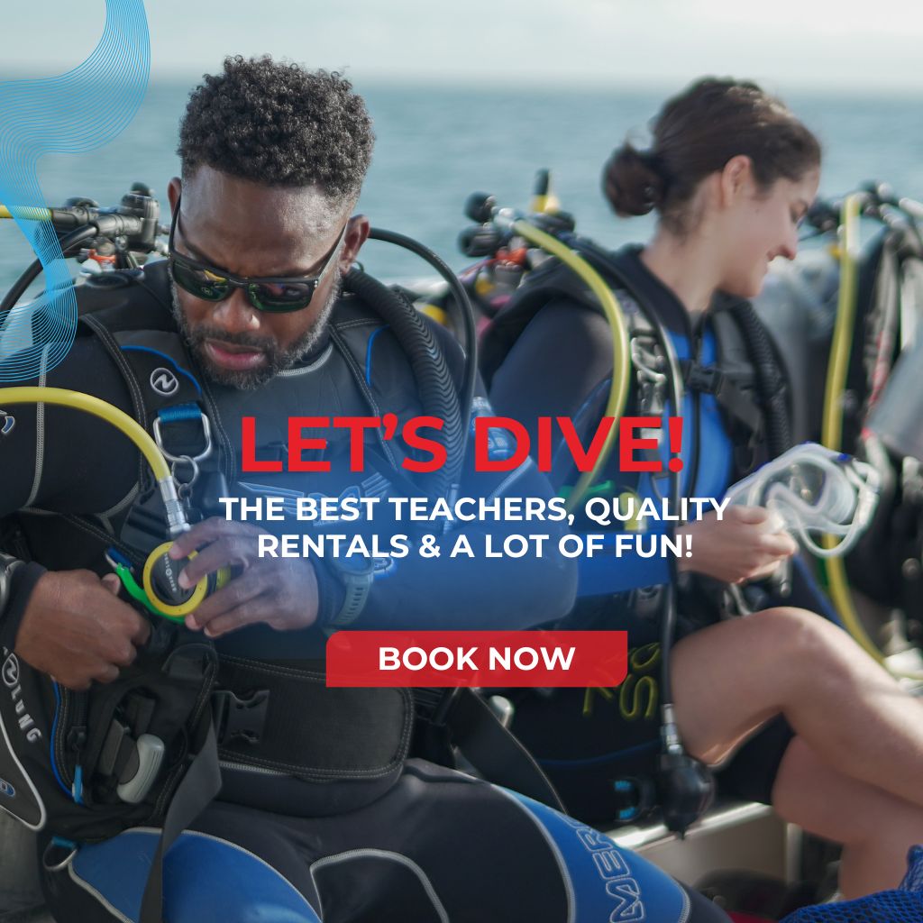 Scuba Diving Classes & Gear Packages - Squalo Divers