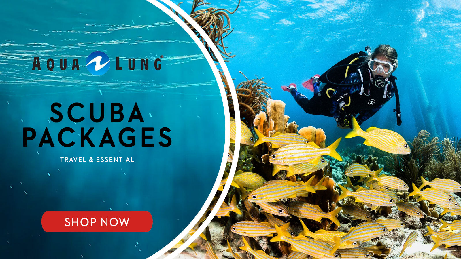 Scuba Diving Gear Packages