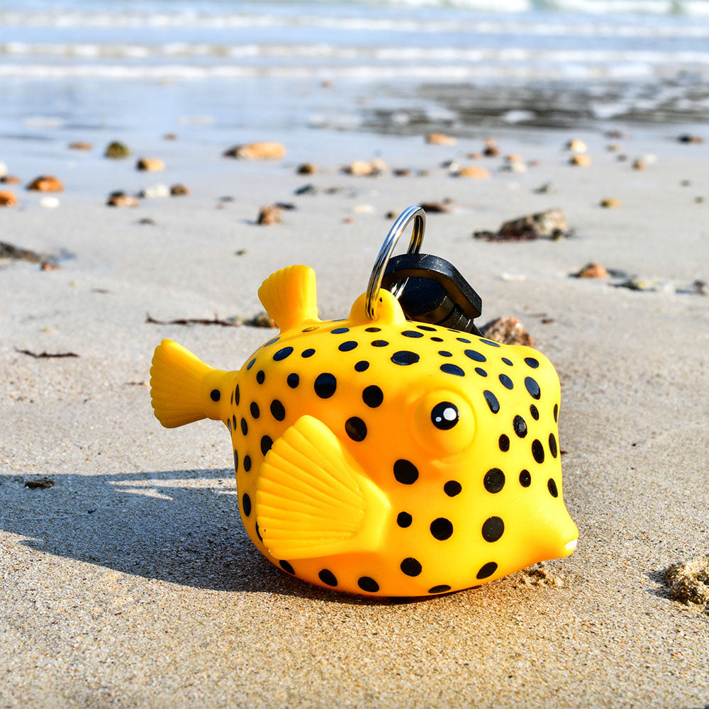 Oceanarium Octopus Holder Box Fish