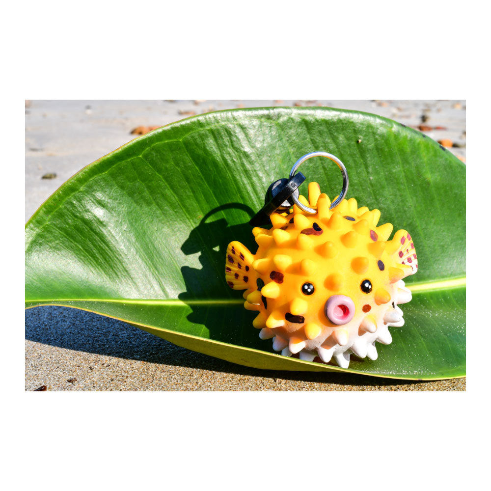 Oceanarium Octopus Holder Puffer Fish