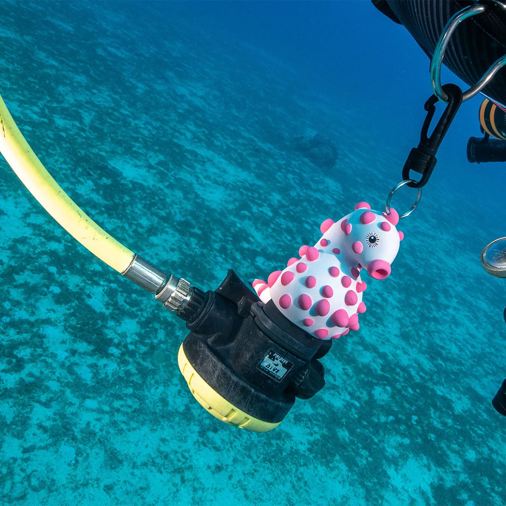 Oceanarium Octopus Holder Seahorse