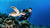 Green Sea Turtle with Scuba Diver
