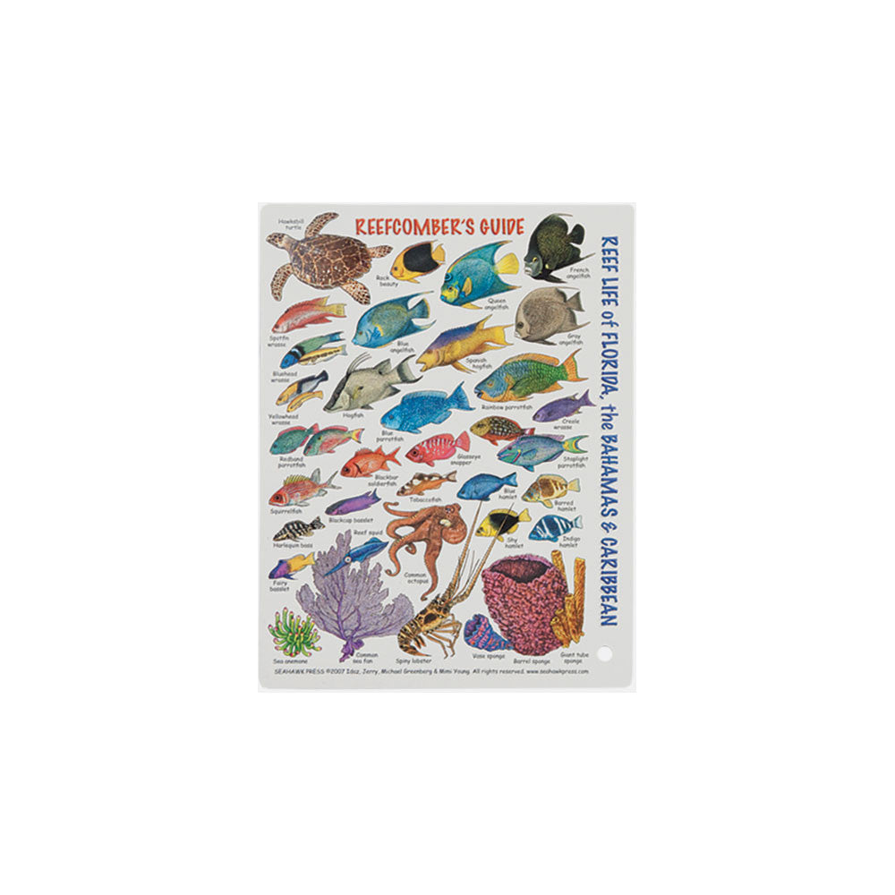 Marine Sports Mini Fish ID Reefcombers Pocket Guide