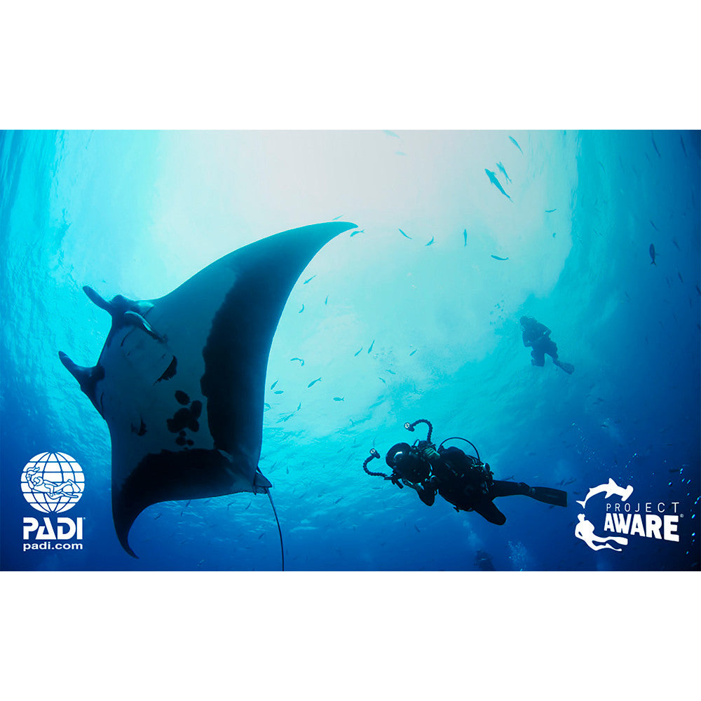 PADI Project AWARE Card