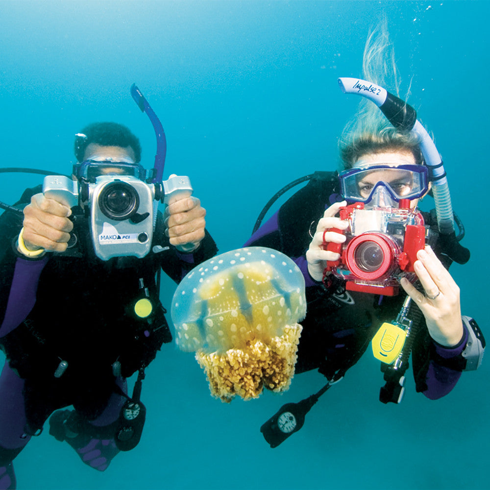 PADI Digital Underwater Photography Specialty Course