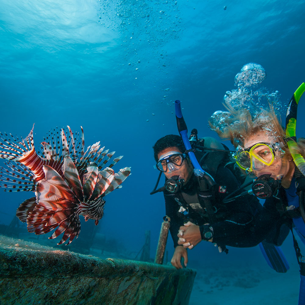 PADI Invasive LionFish Tracker