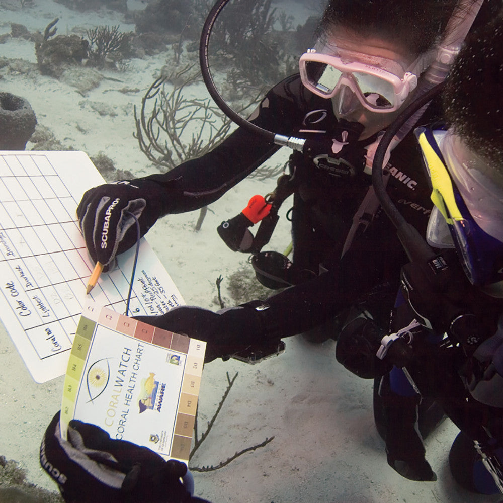 PADI Underwater Naturalist Specialty Course