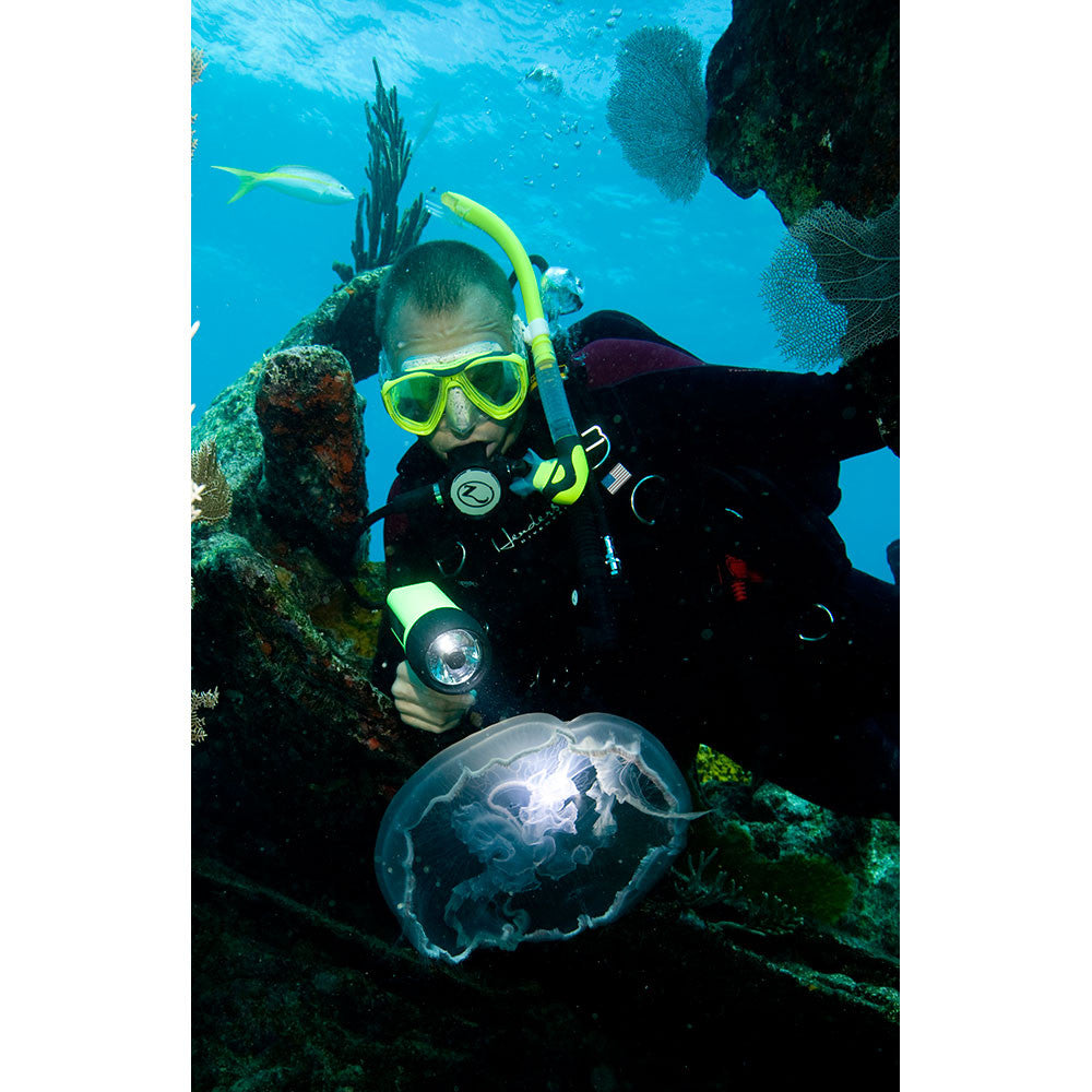Diver with UK C4 eLED Rechargeable Dive Light Yellow
